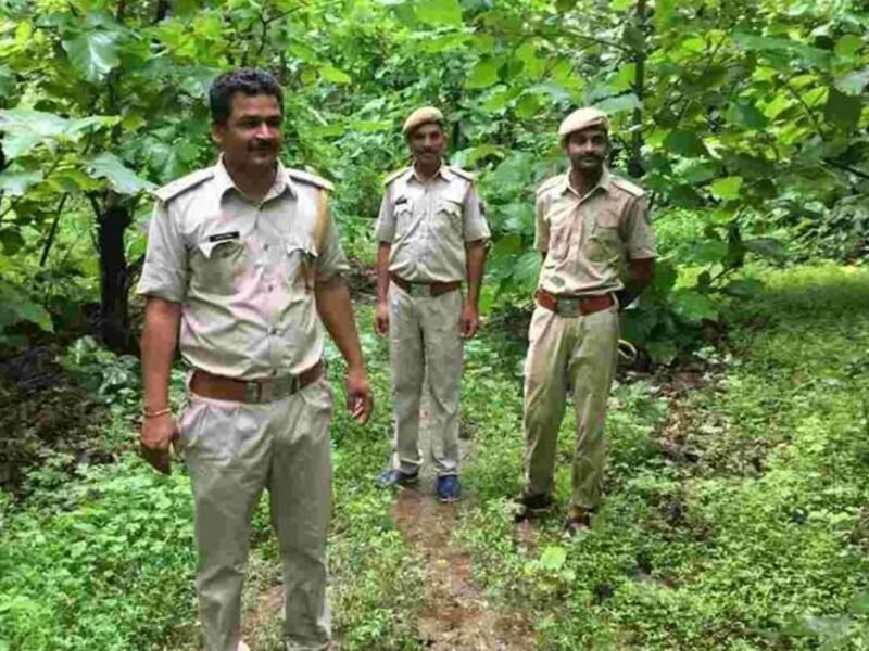 UP Forest Guard