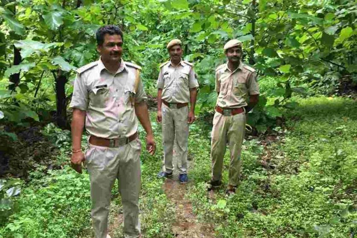 UP Forest Guard